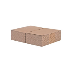 Lot de 20 - Boîtes en carton 200 mm x 200 mm x 110 mm AMER NORMAL AVEC LANGUETTE